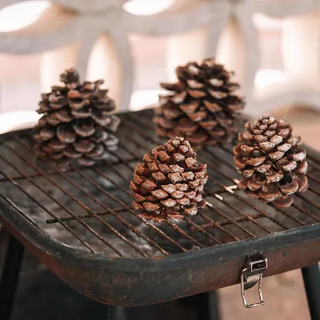 L'escale Des Copains לה ברקרה