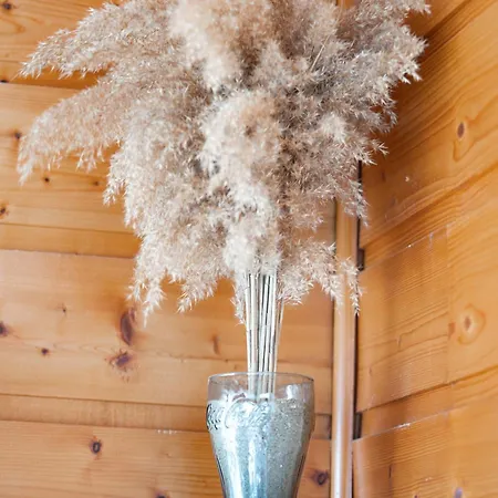 L'escale Des Copains *