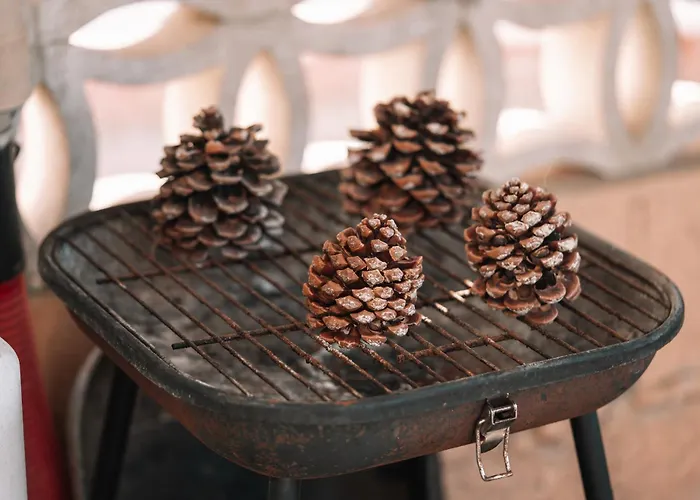 L'escale Des Copains Le Barcarès